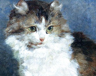 340x270 Forget Me Not Cats' Vintage Illustration. Victorian Scrap - Victorian Cat Painting