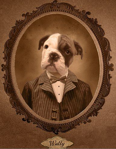 384x493 Pin By Colleen Mcdonald On Dress Ups! Dog Portraits - Victorian Dog Painting