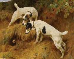 250x200 Victorian Dog Paintings - Victorian Dog Painting