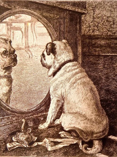 496x661 Victorian Domestic Favourite Otago Daily Times Online News - Victorian Dog Painting