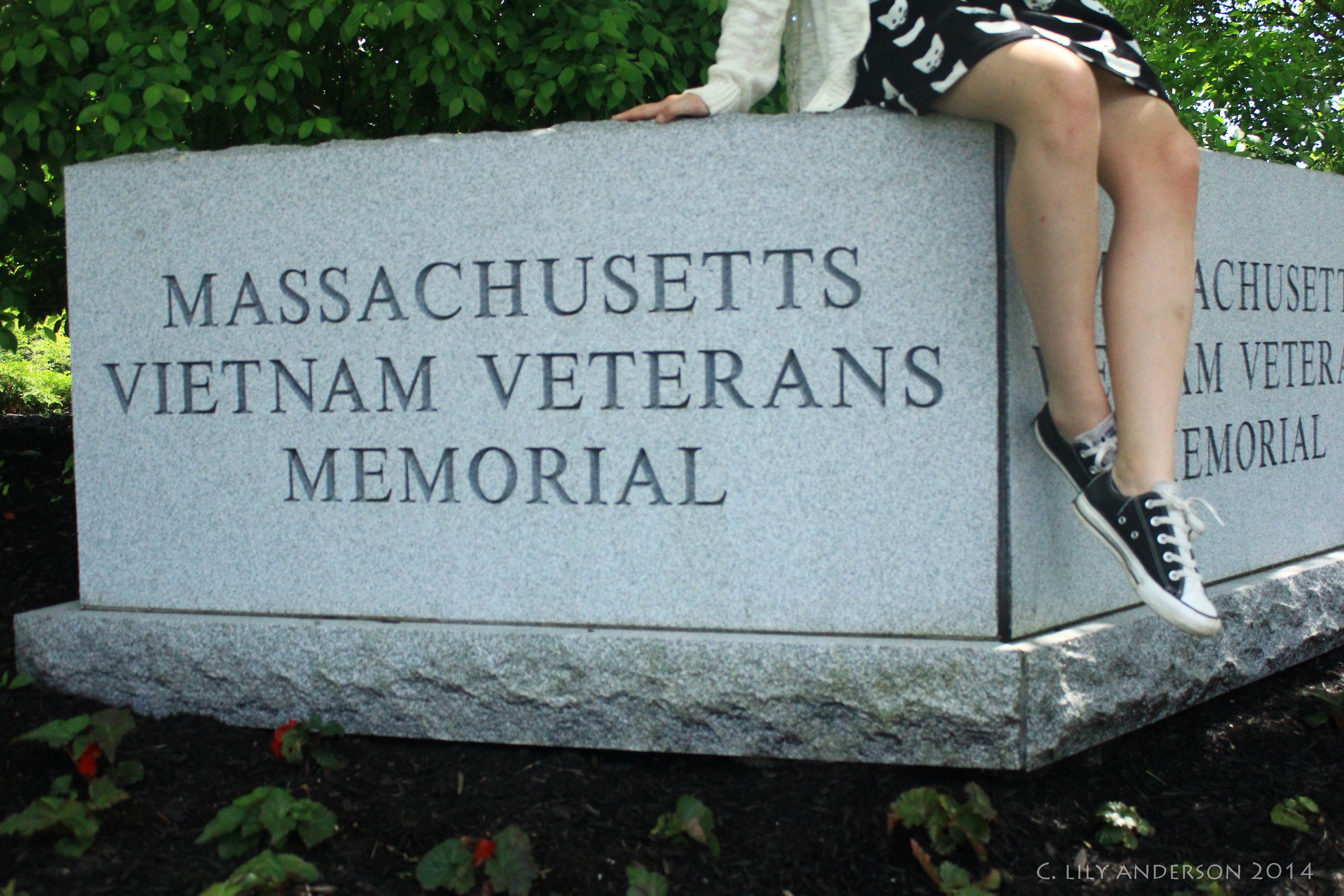 3456x2304 Massachusetts Vietnam Veterans Memorial Westfield's Hometown - Vietnam Veterans Memorial Painting