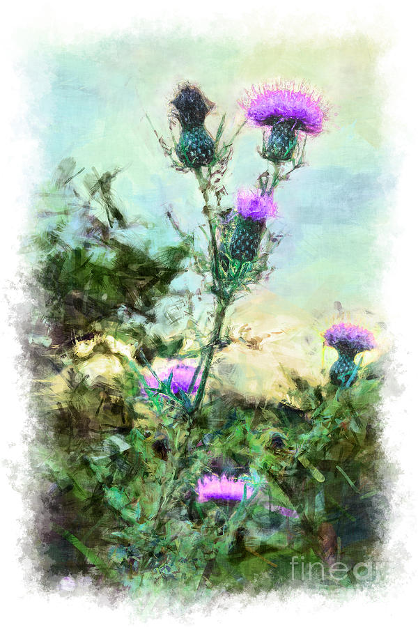 600x900 Thistle Flowers Vignette Painting By Dan Carmichael - Vignette Painting