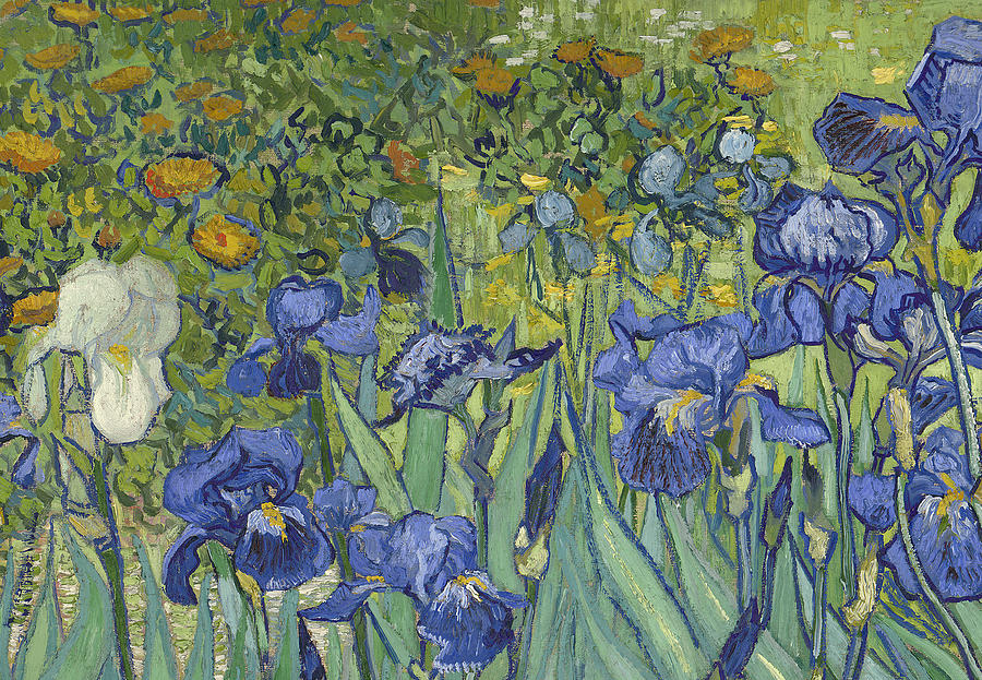 900x623 Irises Painting By Vincent Van Gogh - Vincent Van Gogh Irises Painting