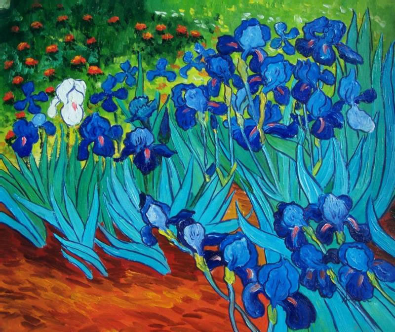 800x673 Oil Paintings Frames - Vincent Van Gogh Irises Painting