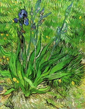 282x360 Reproduction Of Irises Paintings For Sale - Vincent Van Gogh Irises Painting
