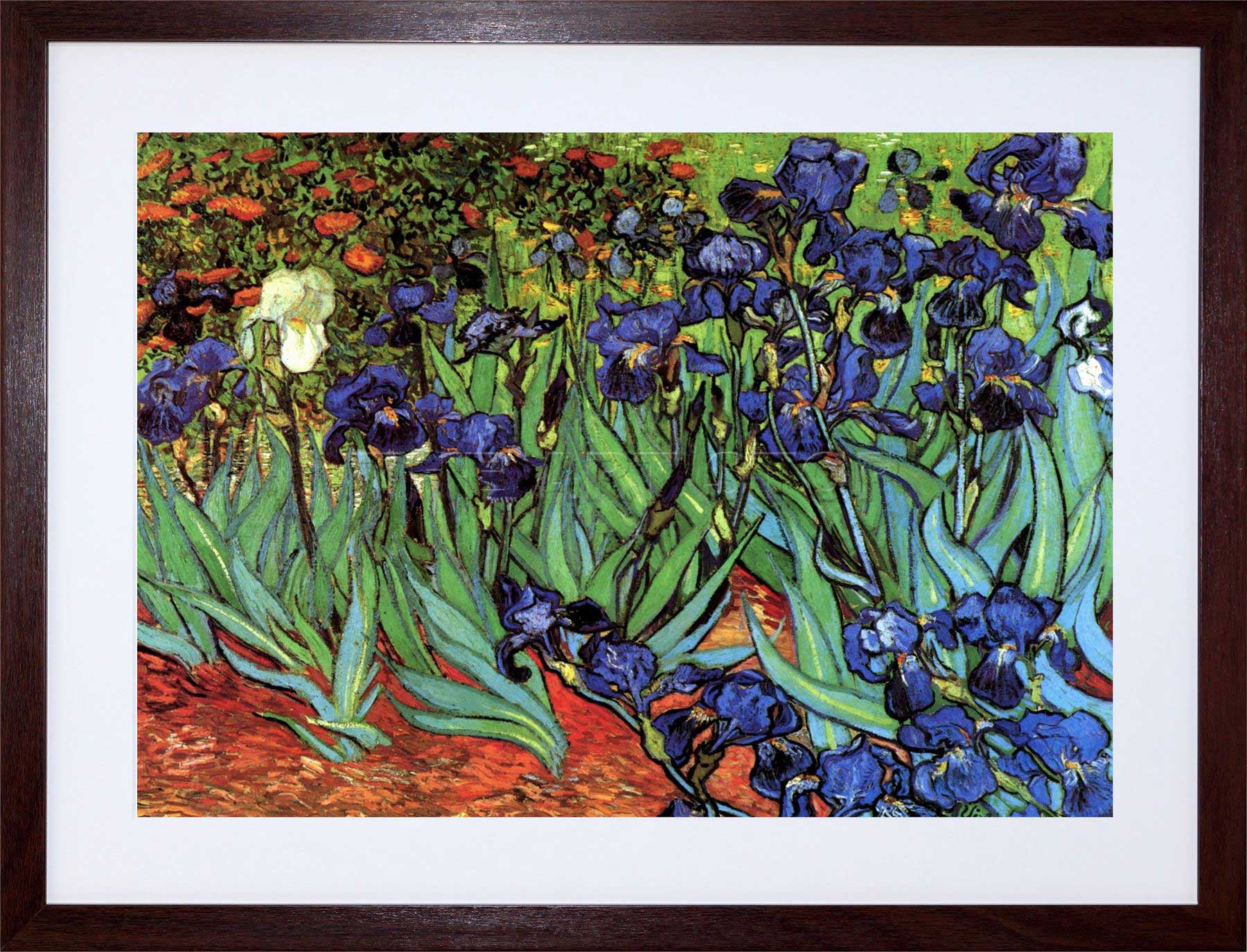 Vincent Van Gogh Irises Painting at PaintingValley.com | Explore ...