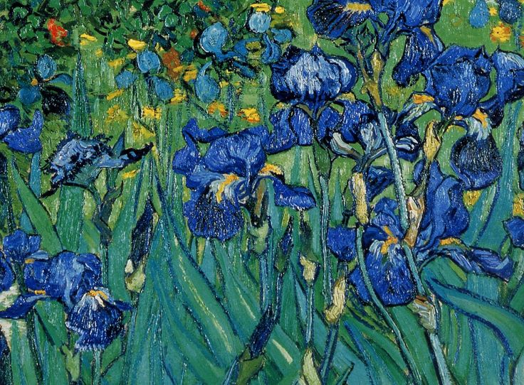 736x542 Vincent Van Gogh (1853 - Vincent Van Gogh Irises Painting