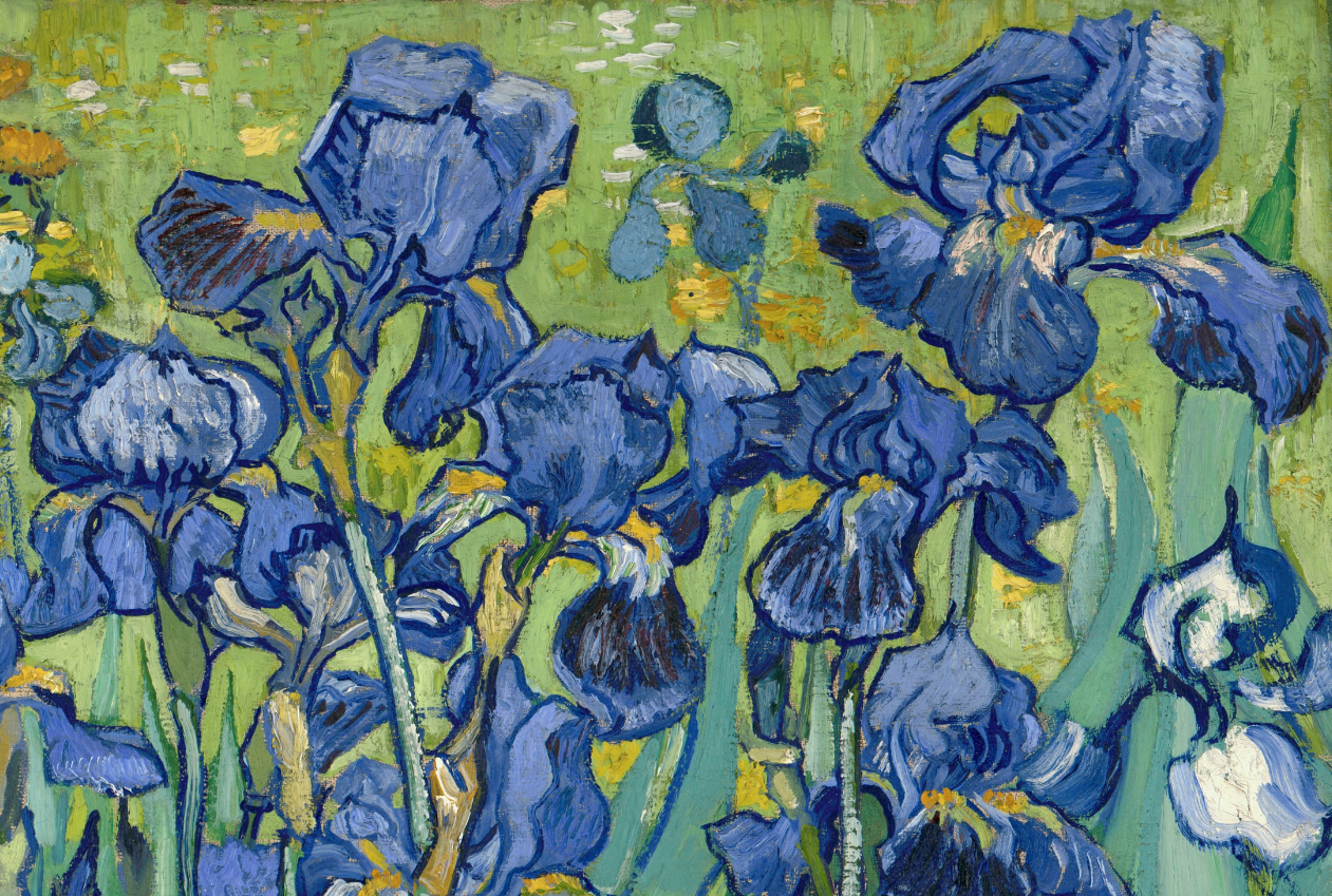 Vincent Van Gogh Irises Painting At Paintingvalley Com Explore