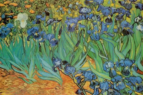 Vincent Van Gogh Irises Painting at PaintingValley.com | Explore ...