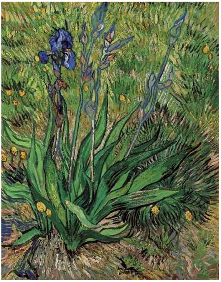 750x953 Iris, The By Vincent Van Gogh - Vincent Van Gogh Irises Painting