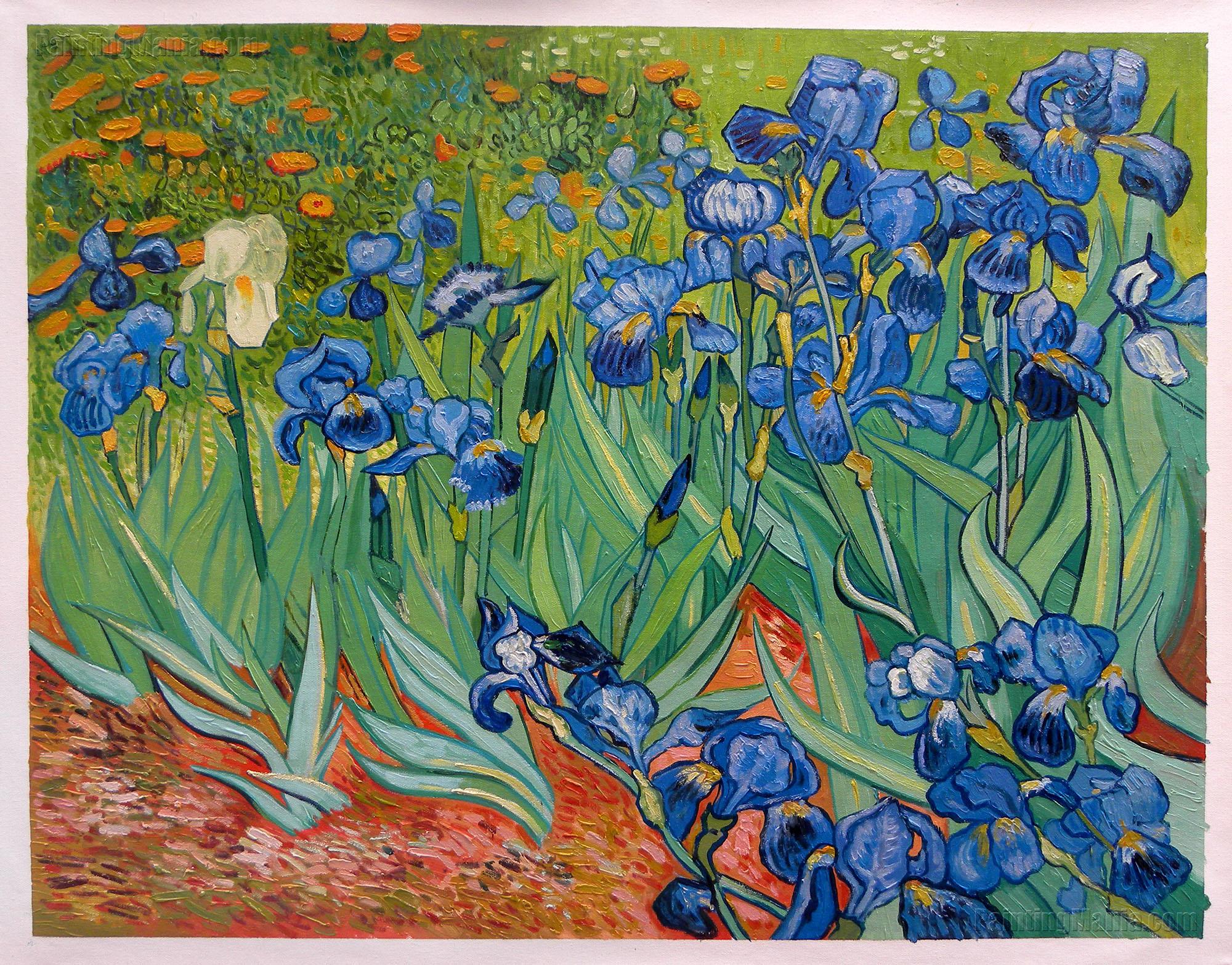 Vincent Van Gogh Irises Painting at PaintingValley.com | Explore ...