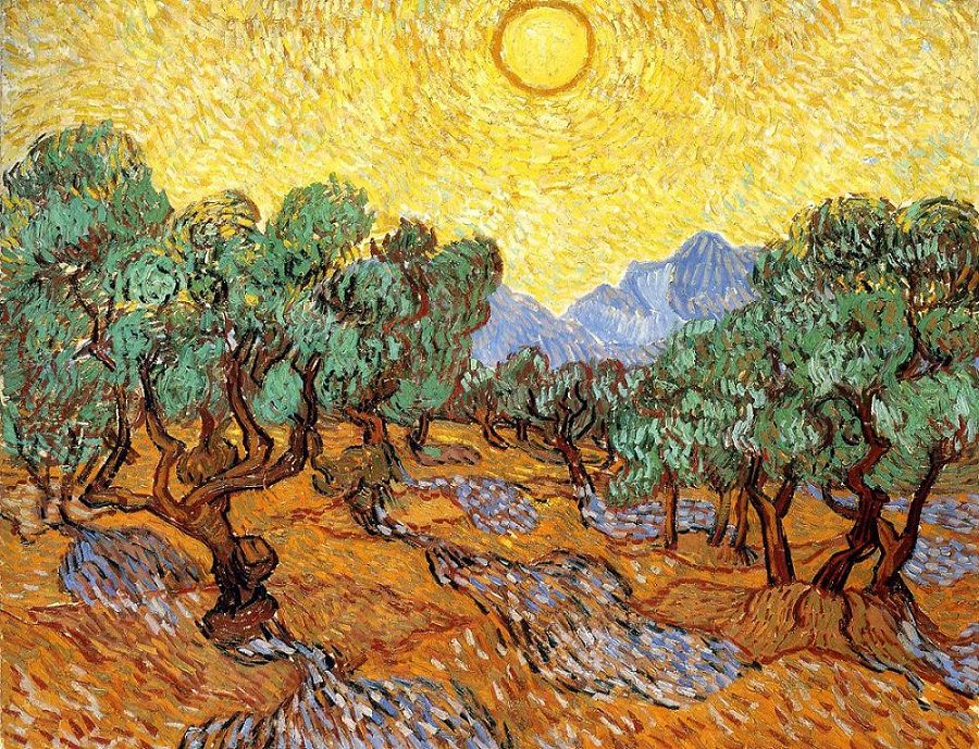 900x689 Olive Trees With Yellow Sky And Sun, 1889 By Vincent Van Gogh - Vincent Van Gogh Painting