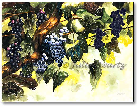 530x411 Julia Swartz Fine Art Gallery The Vine Watercolor Painting - Vine Painting