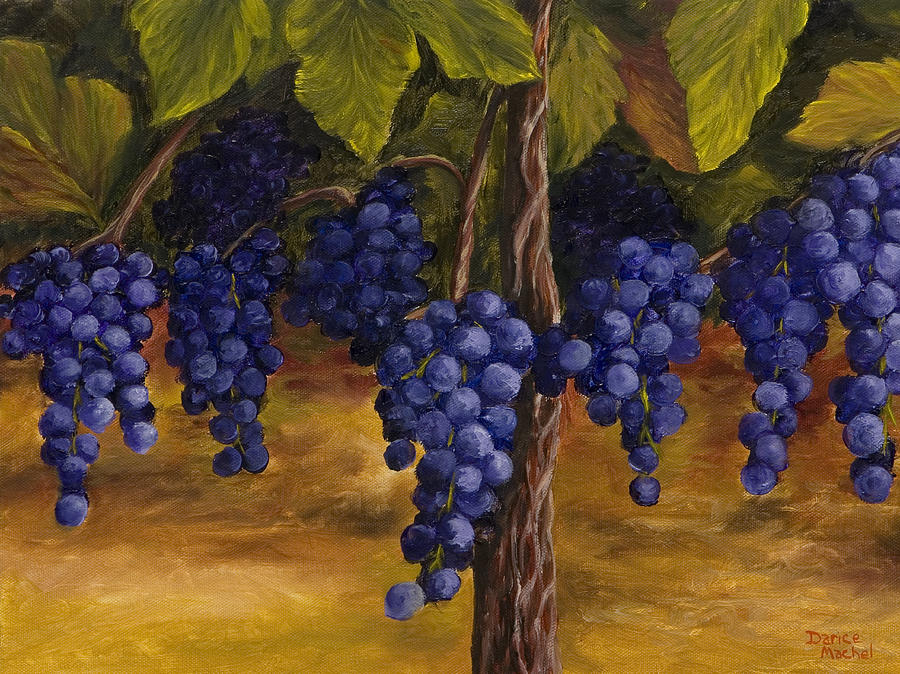 900x674 On The Vine Painting By Darice Machel Mcguire - Vine Painting