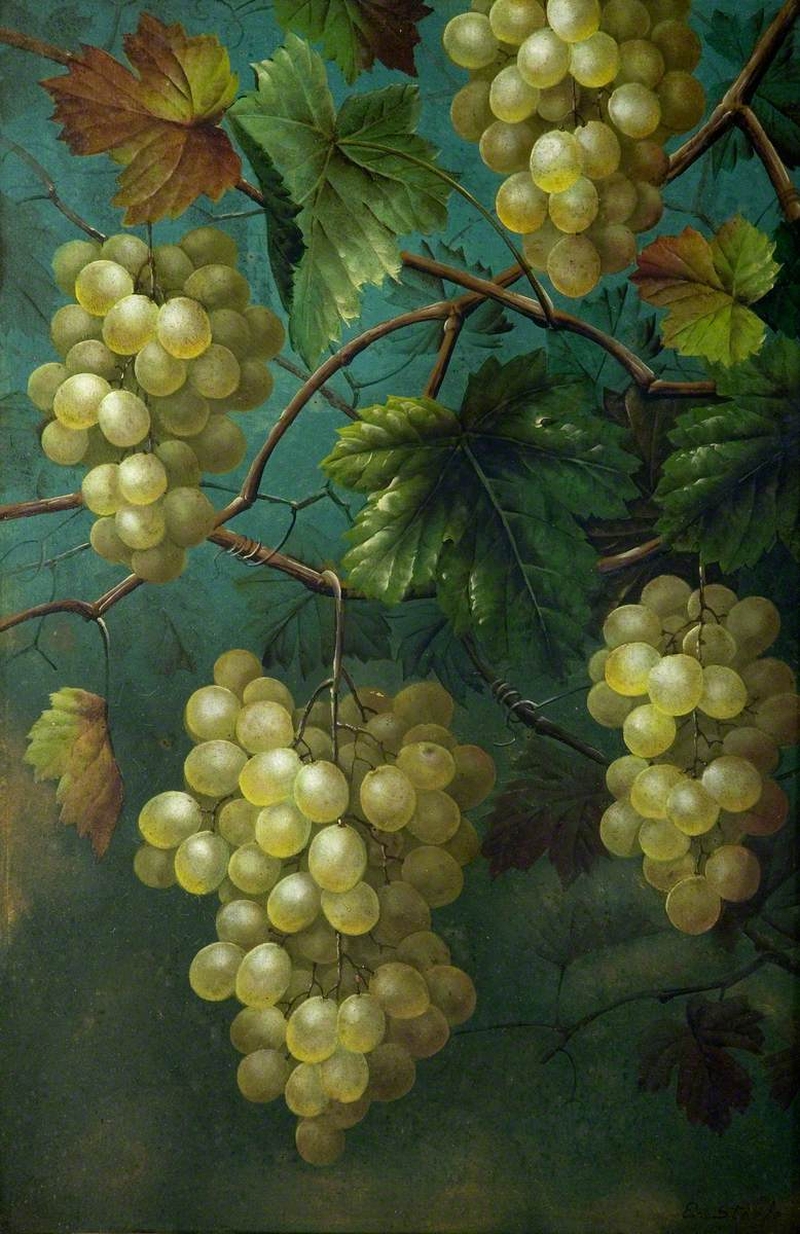 800x1234 Still Life Of Grapes And Vine Painting Edwin Steele Oil Paintings - Vine Painting