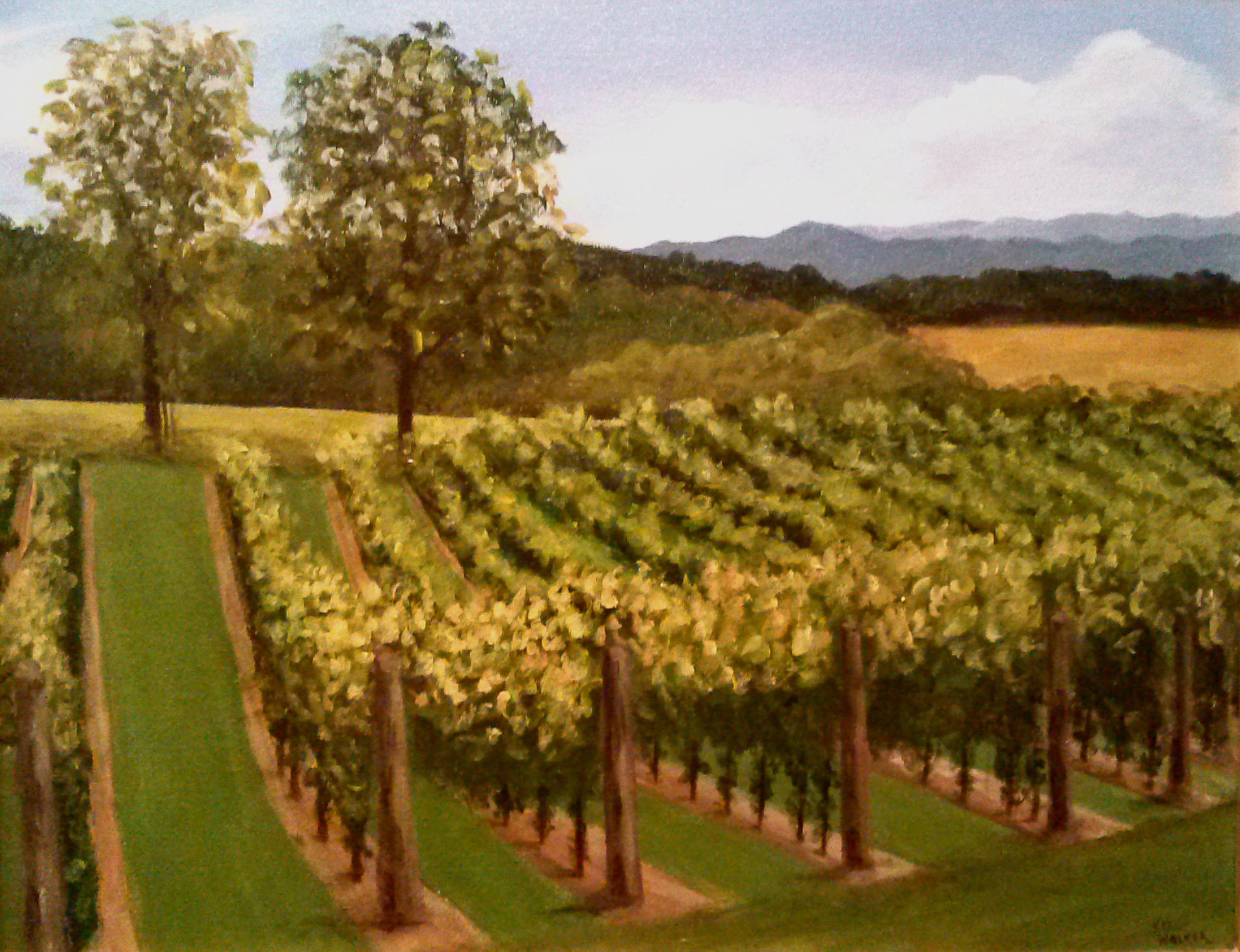 1907x1464 Vineyard Painting - Vineyard Painting