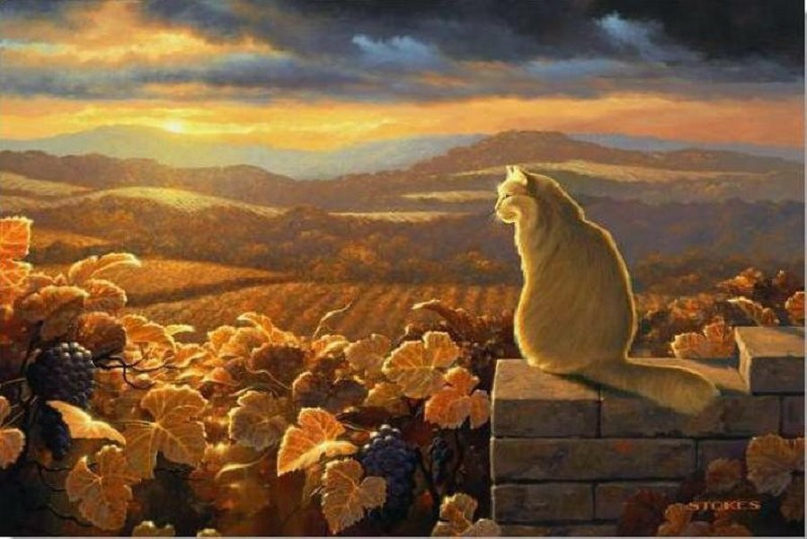898x600 Cat Vintage Kitten Animal Stokes Art Cat Golden Grape Stan - Vintage Cat Painting