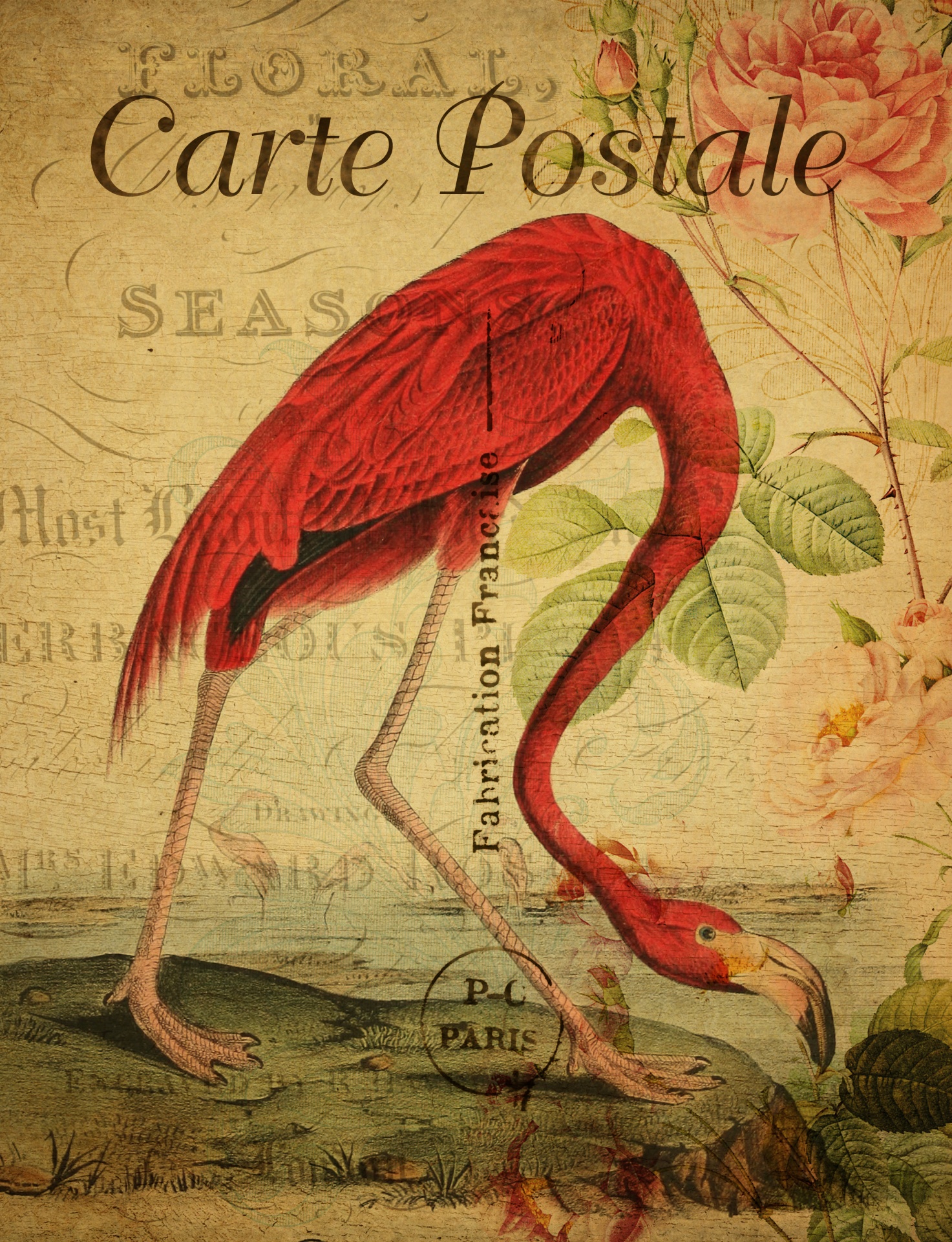 1473x1920 Flamingo Vintage Postcard Painting Free Stock Photo - Vintage Flamingo Painting