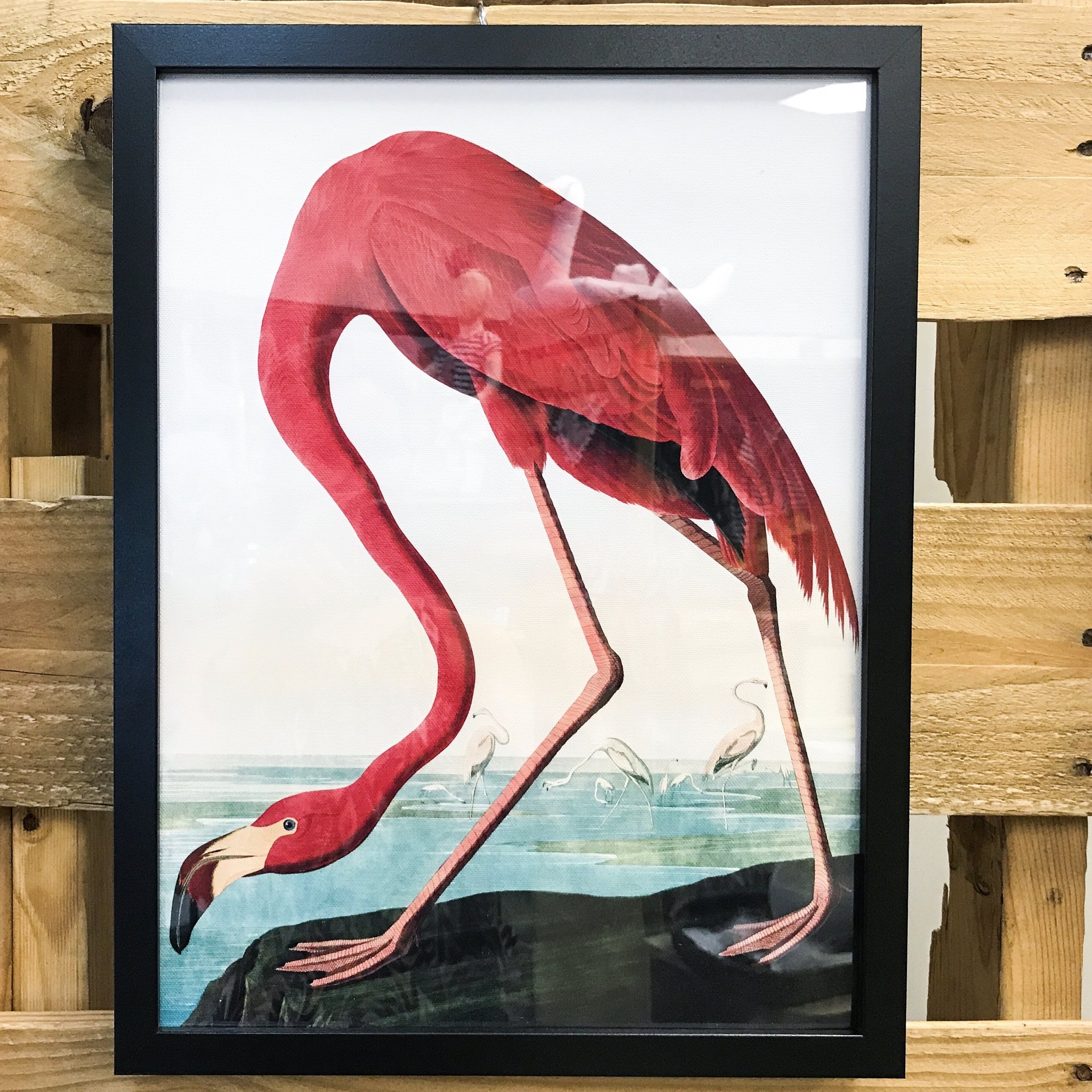 2047x2048 Vintage Flamingo Canvas Print Osborne Amp Co - Vintage Flamingo Painting