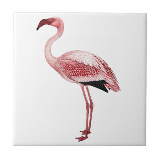 512x512 Vintage Pink Flamingo Painting Tile - Vintage Flamingo Painting