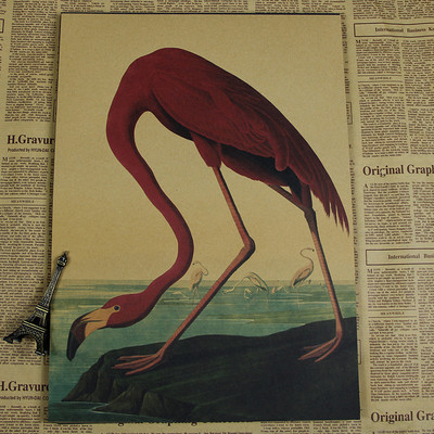 400x400 Flamingo Parrot Beauty Bird Vintage Poster Retro Decorative - Vintage Flamingo Painting