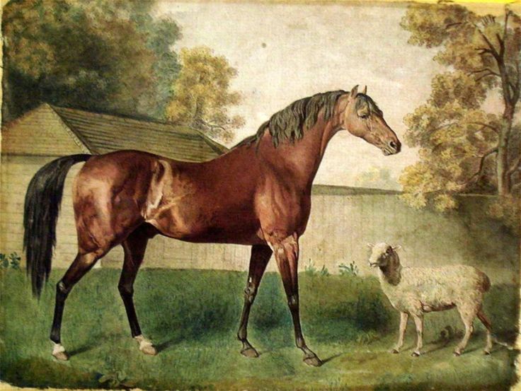 736x553 The 597 Best Art - Vintage Horse Painting