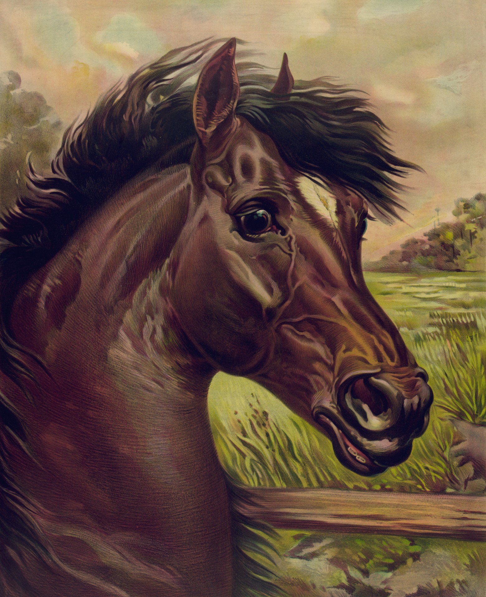 1561x1920 Vintage Horse Painting Free Stock Photo - Vintage Horse Painting