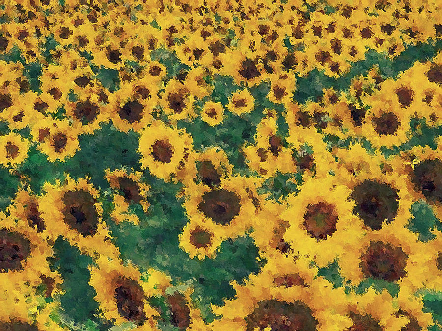 900x675 Vintage Sunflower Painting Art Painting By Nhan Ngo - Vintage Painting