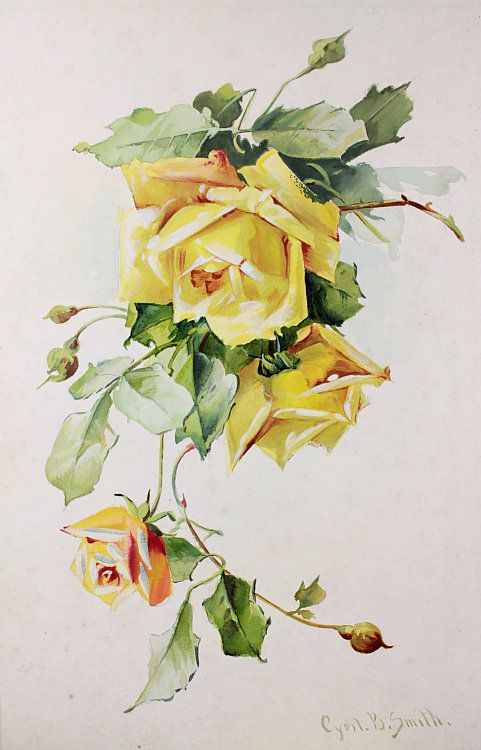 481x750 Vintage Home - Vintage Rose Painting