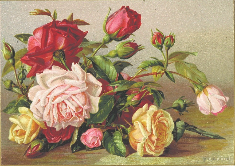 1000x708 Vintage Rose Painting By Graysquirrel Redbubble - Vintage Rose Painting