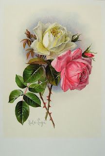 216x320 395 Best Rosas Images On Vintage Floral, Vintage - Vintage Rose Painting