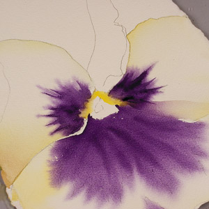 300x300 Painting Watercolor Flowers Step By Step Pansy Power Birgit O'Connor - Violet Flower Painting