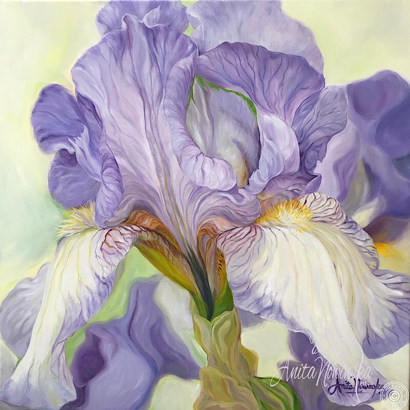 800x800 Patience Blue Lilac Iris Flower Painting Oil On Canvas Anita - Violet Flower Painting