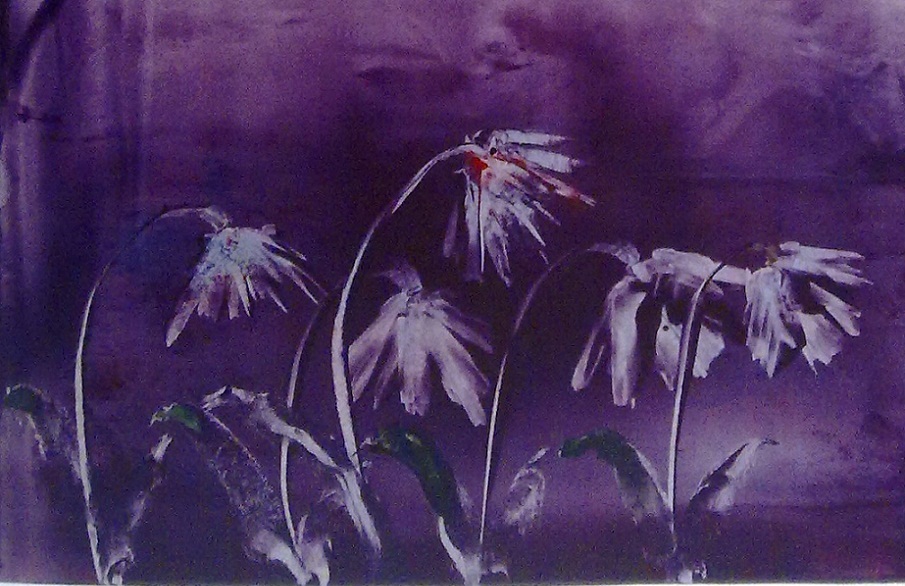 905x586 Oil Painting Technique Zeinab1361art - Violet Painting