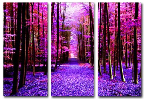 495x334 Violet Path - Violet Painting