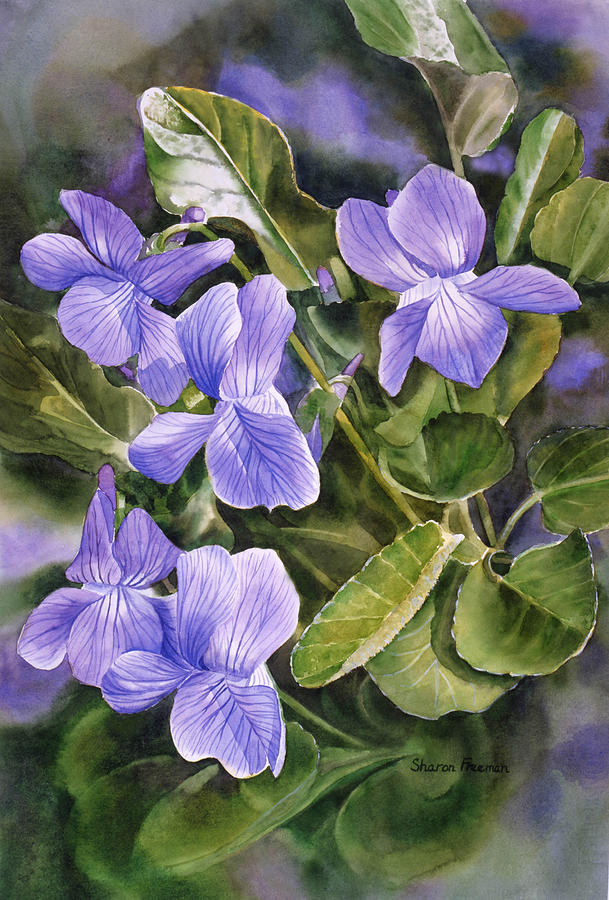 609x900 Blue Dog Violets Painting By Sharon Freeman - Violet Painting