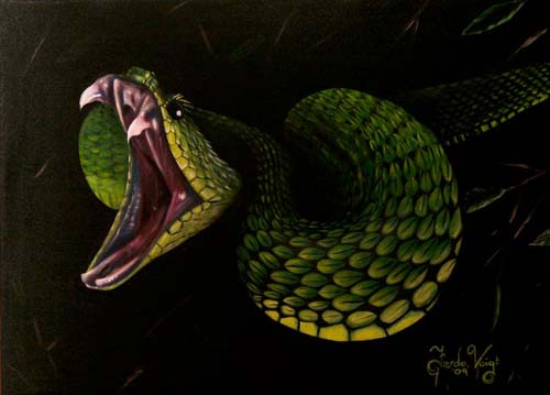 500x359 Colourful Canvus - Viper Painting