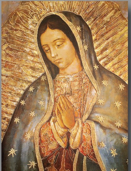 427x557 Our Lady Of Guadalupe Large Poster - Virgin Of Guadalupe Painting