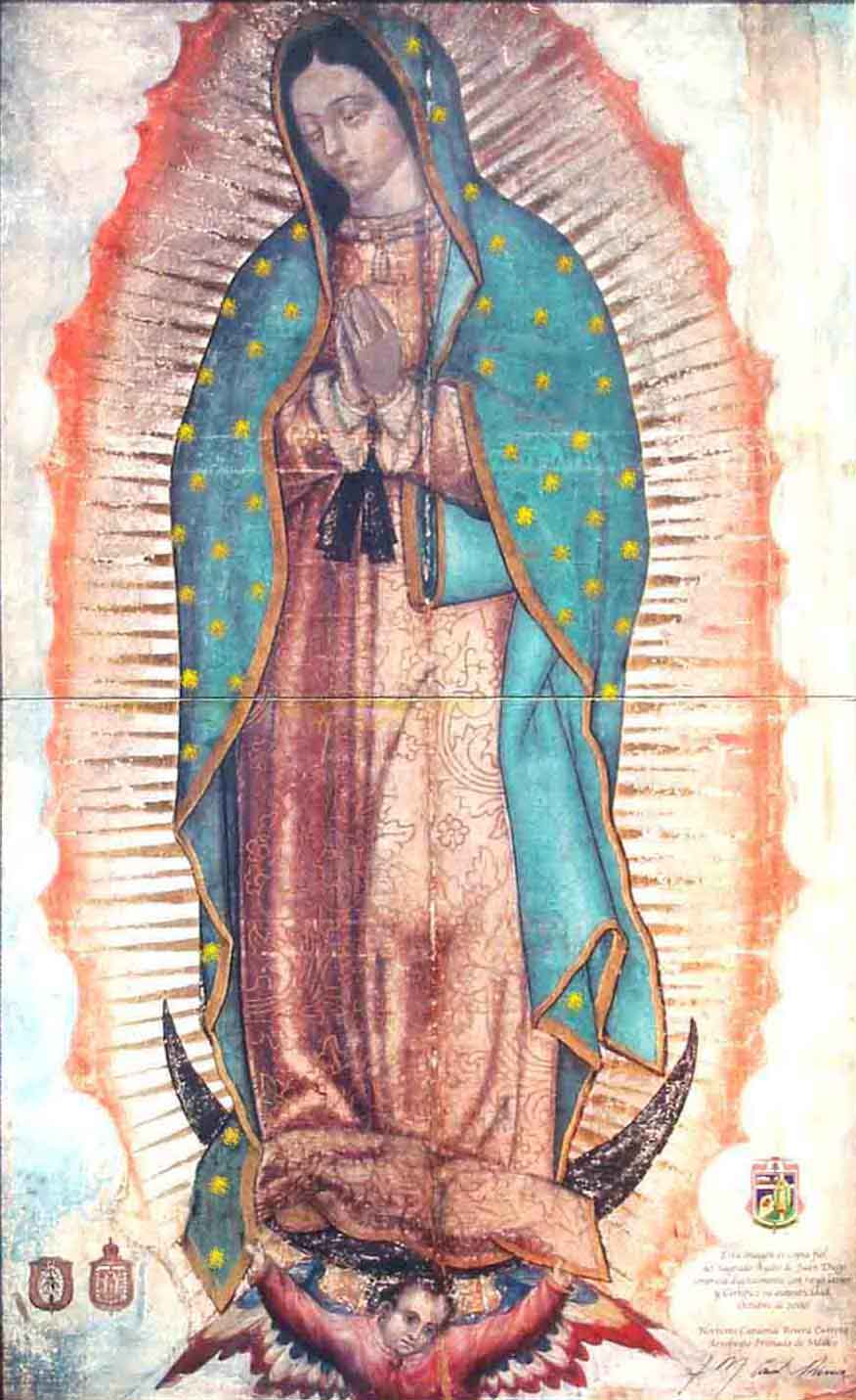 876x1431 The Eyes Of Our Lady Of Guadalupe - Virgin Of Guadalupe Painting