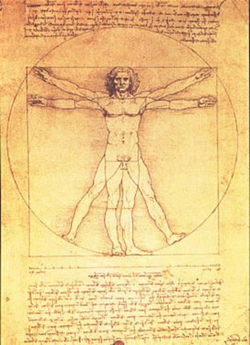 354x488 Vitruvian Man Proportions Of The Human Figure Prints By Leonardo - Vitruvian Man Painting