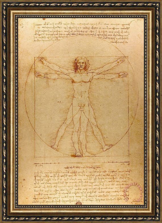 570x783 Leonardo Da Vinci The Vitruvian Man Framed Painting For Sale - Vitruvian Man Painting
