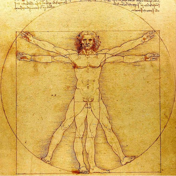 600x600 Vitruvian Man - Vitruvian Man Painting