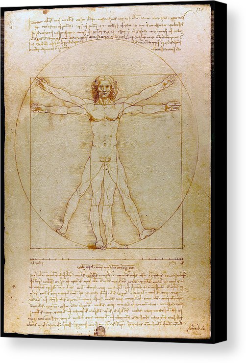 502x740 Vitruvian Man By Leonardo Da Vinci Canvas Print Canvas Art By - Vitruvian Man Painting