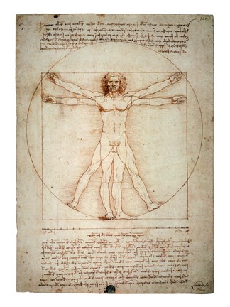 324x432 Vitruvian Man Fine Art Print By Leonardo Da Vinci - Vitruvian Man Painting