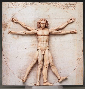 350x366 Figma The Table Museum Vitruvian Man (Re Run) Tokyo Otaku Mode Shop - Vitruvian Man Painting
