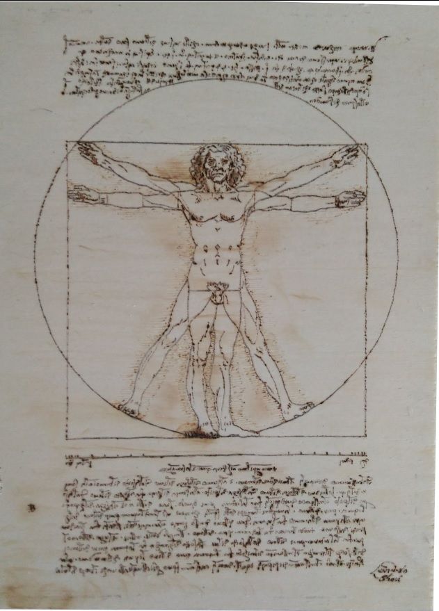 631x879 Pyro Vitruvianman Byhuseyinozyay.jpg - Vitruvian Man Painting