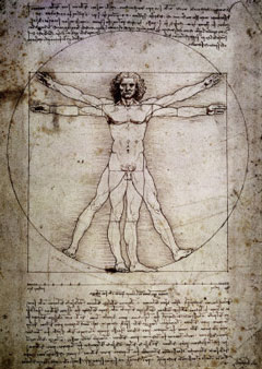 240x338 Leonardo Da Vinci - Vitruvian Man Painting
