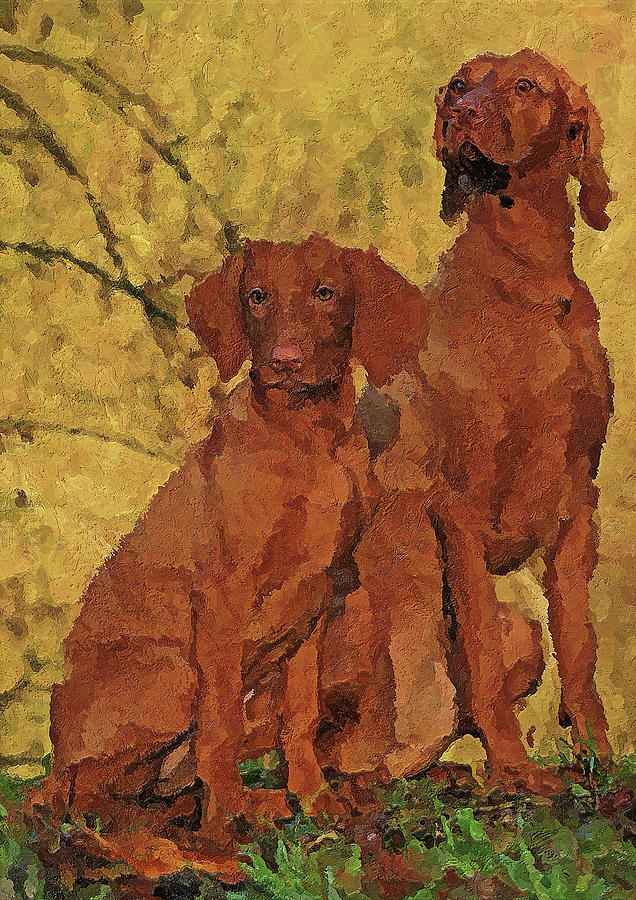 636x900 Vizsla Painting By Rosalia S - Vizsla Painting
