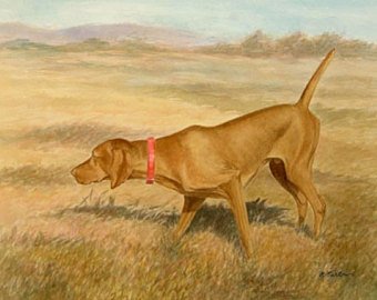 340x270 Vizsla Painting Etsy - Vizsla Painting