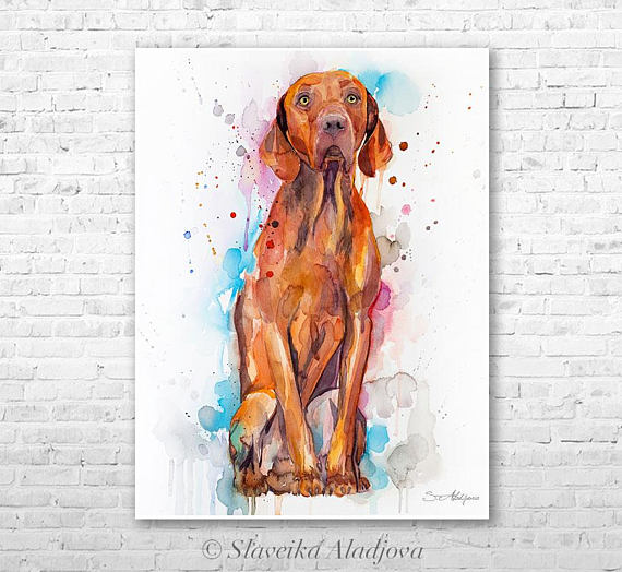 570x524 Vizsla Watercolor Painting Print By Slaveika Aladjova Animal - Vizsla Painting